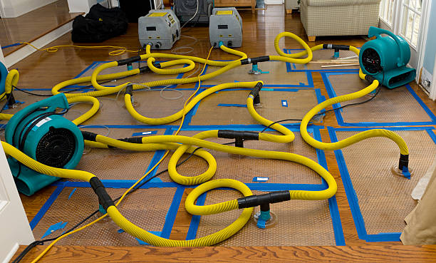 Professional Crawl Space Water Removal technician working in Hollister, CA